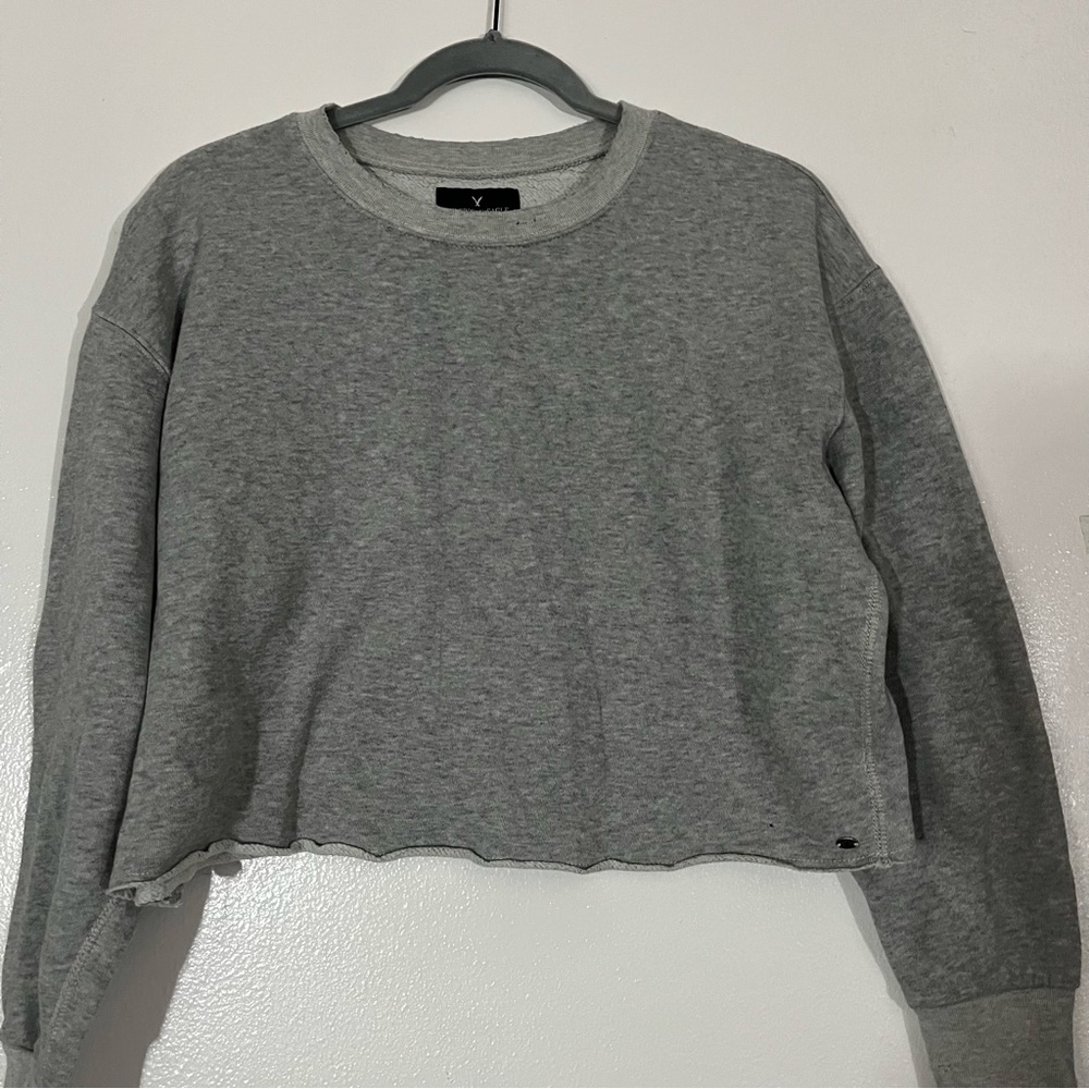 ae cropped sweatshirt